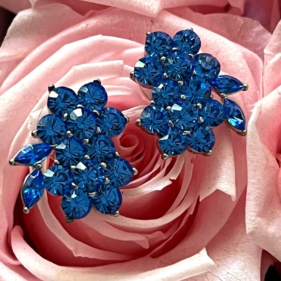 Blue Crystals Earrings - Picture 4 of 4